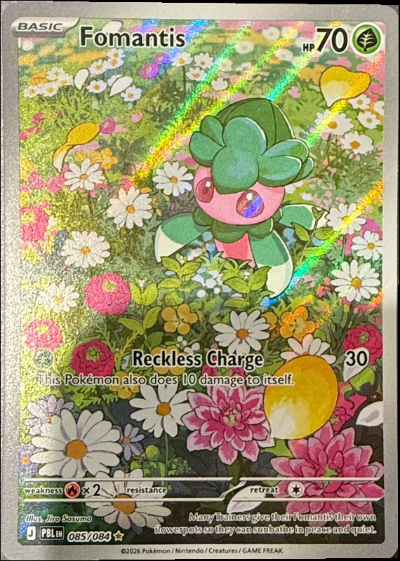 Fomantis