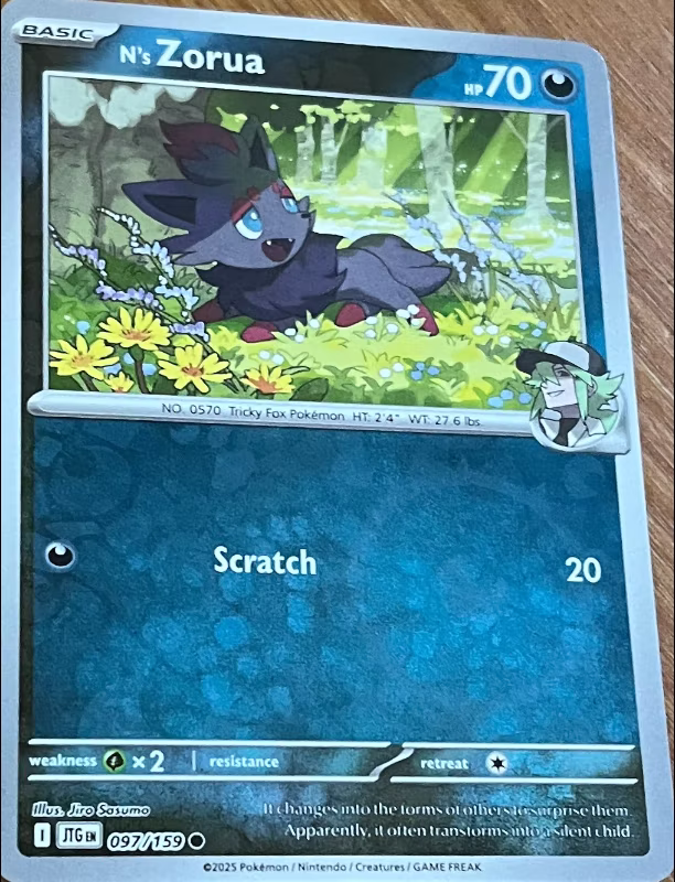 N's Zorua