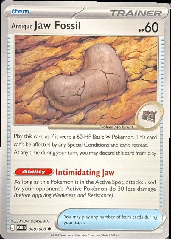Antique Jaw Fossil