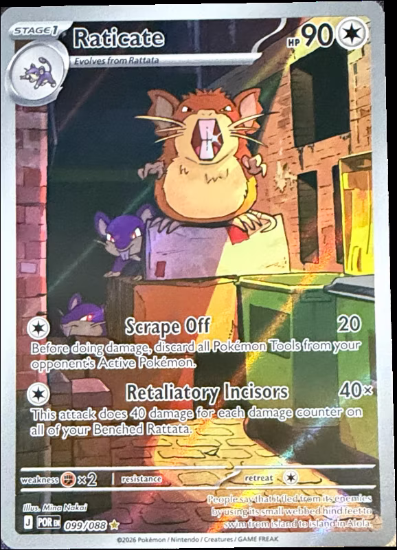 Raticate