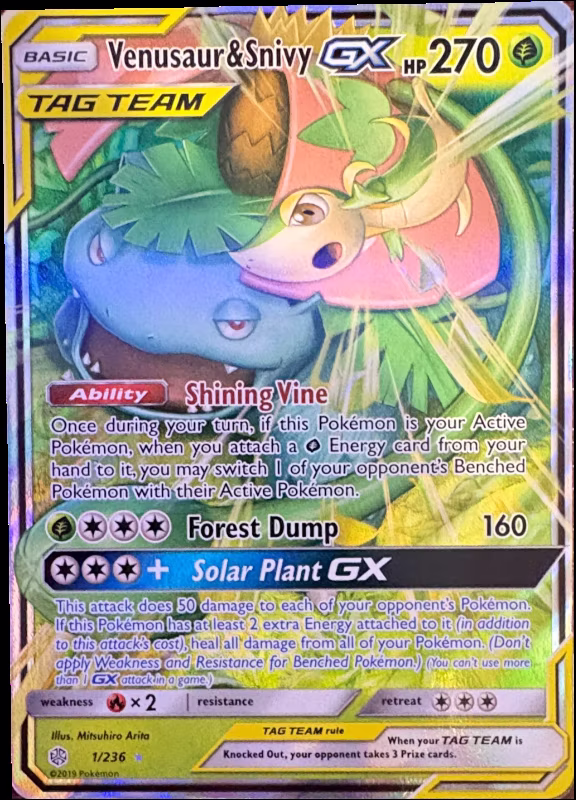 Venusaur & Snivy GX