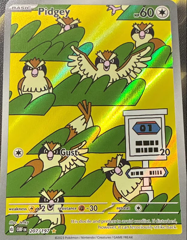 Pidgey