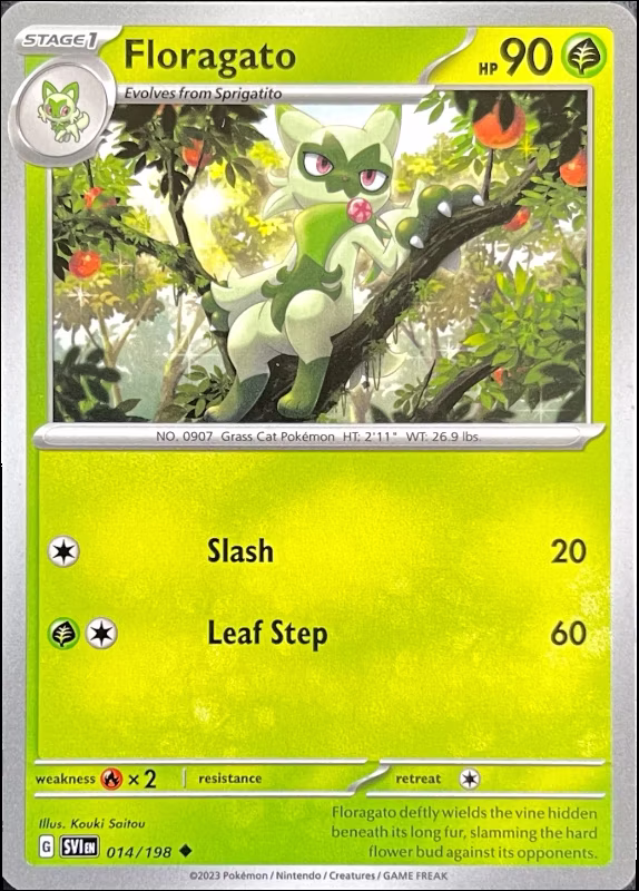 Floragato