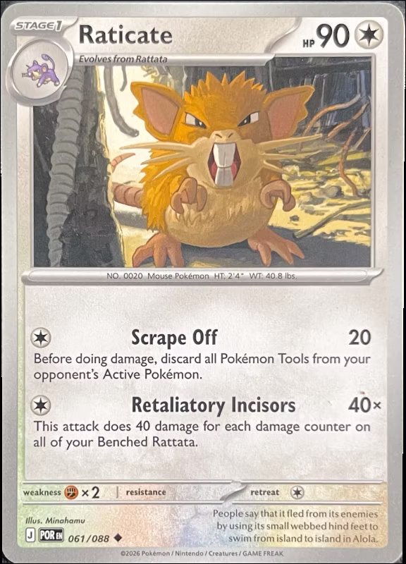 Raticate