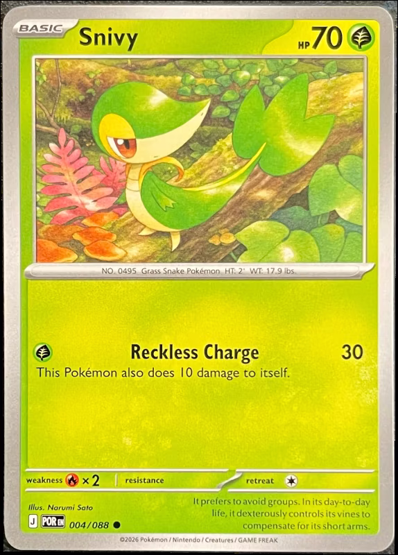 Snivy