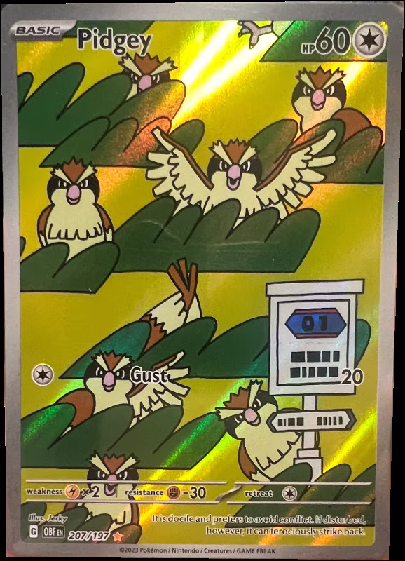 Pidgey